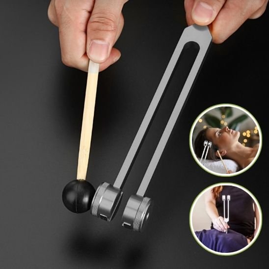 Présentation du diapason 